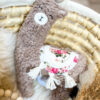 Lama – Bild 2