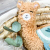 Lama – Bild 4